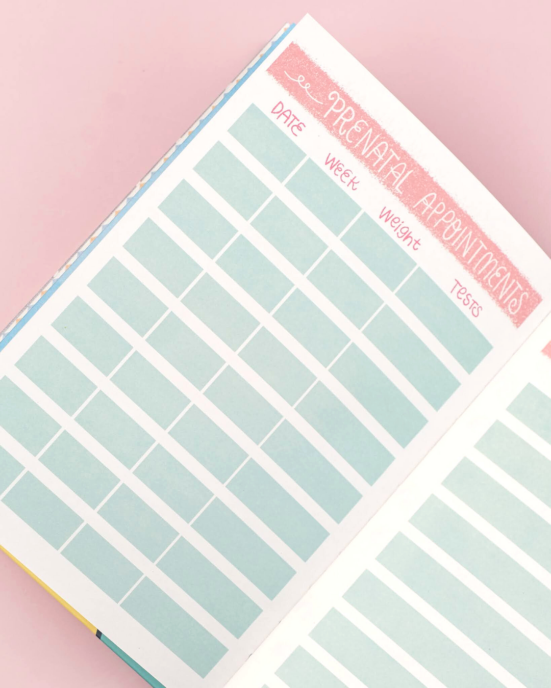 Pregnancy Journal Bump Box - Combo