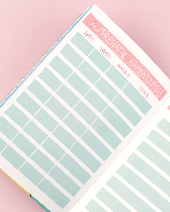 Pregnancy Journal Bump Box - Combo