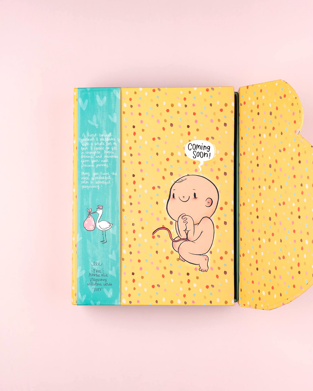Pregnancy Journal Bump Box - Combo